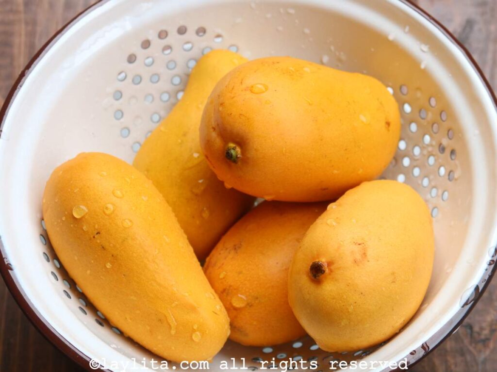 Champagne mangoes in a white colander on a wood table