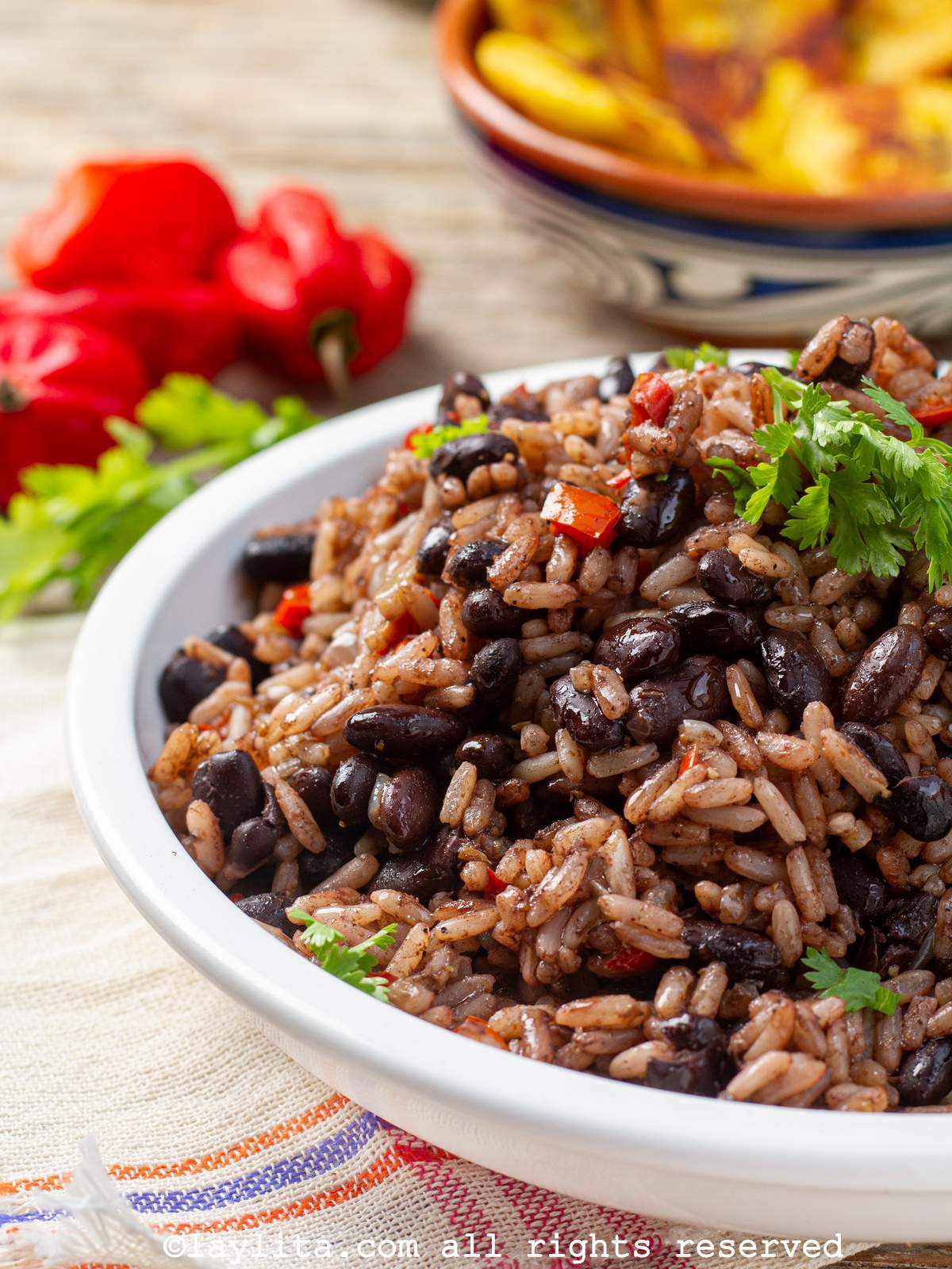 Side view of a shallow white bowl served with a large pile of gallo pinto rice and beans with cilantro on top.