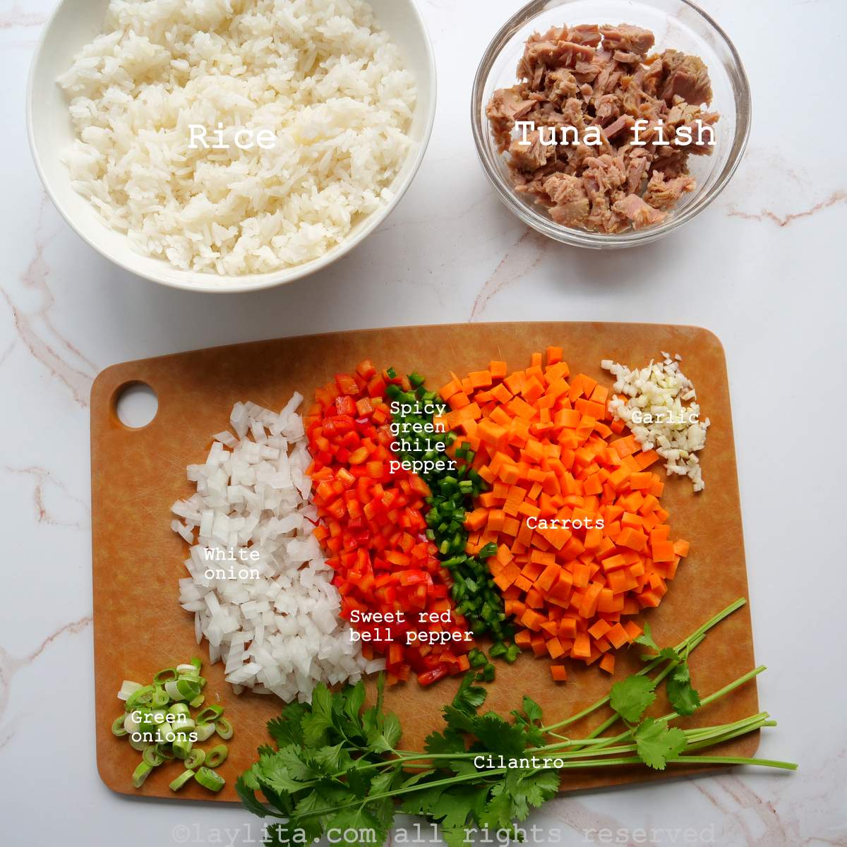 Labeled photo of the ingredients needed to make arroz con atún