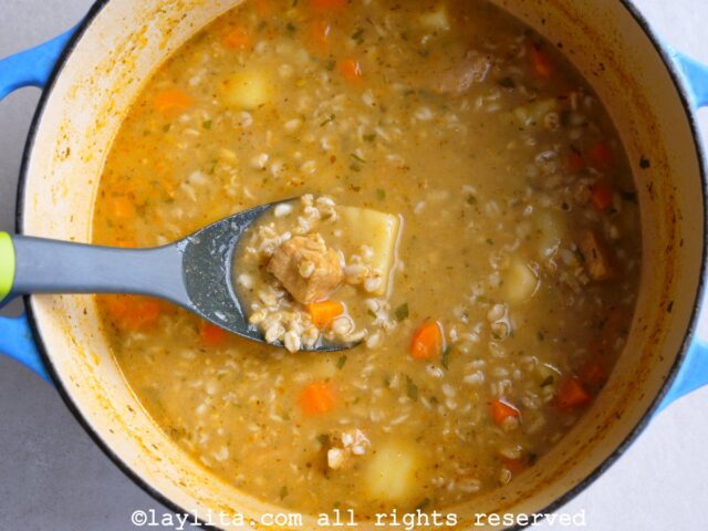 Laddle in a soup pot showing the oats, potato, carrot and pork from the cooked soup