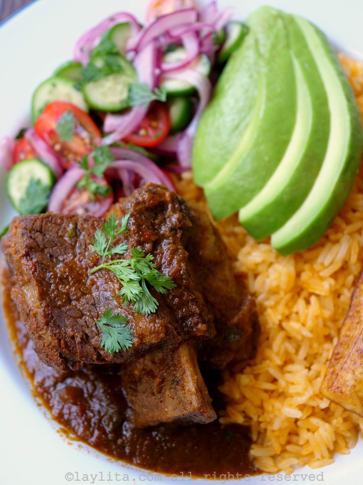 Close up of a beef rib on a plate with sauce and sides like rice, avocado and salad.