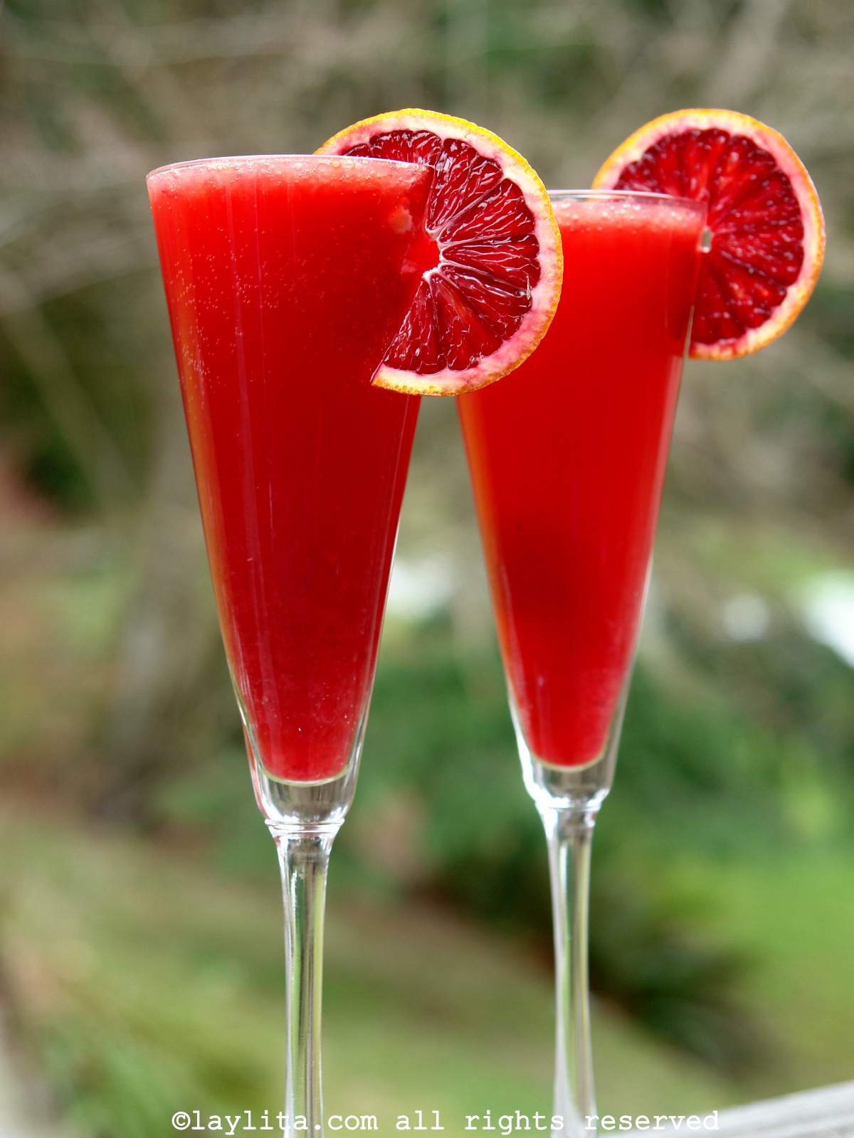 Bubbly Blood Orange cocktail in champagne glasses garnished with slices of blood orange