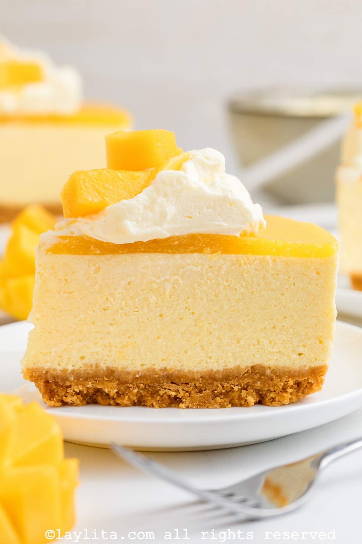 Side view of a slice of mango cheesecake on a white plate garnished with whipped cream and fresh diced mango