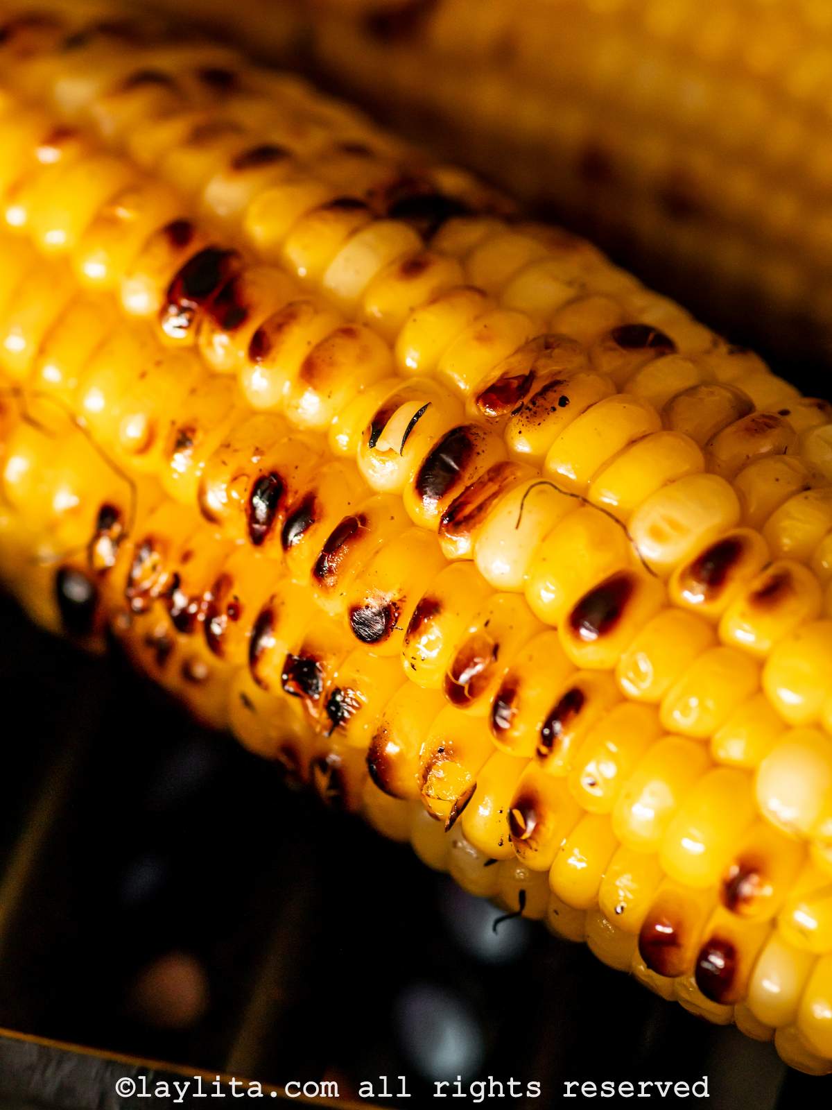 Closeup of a charred ear of corn cooking on the grill