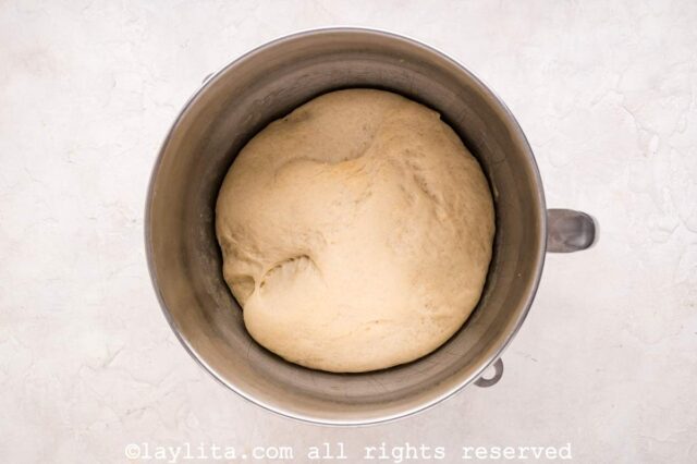 Dough rising for yeast dinner rolls recipe