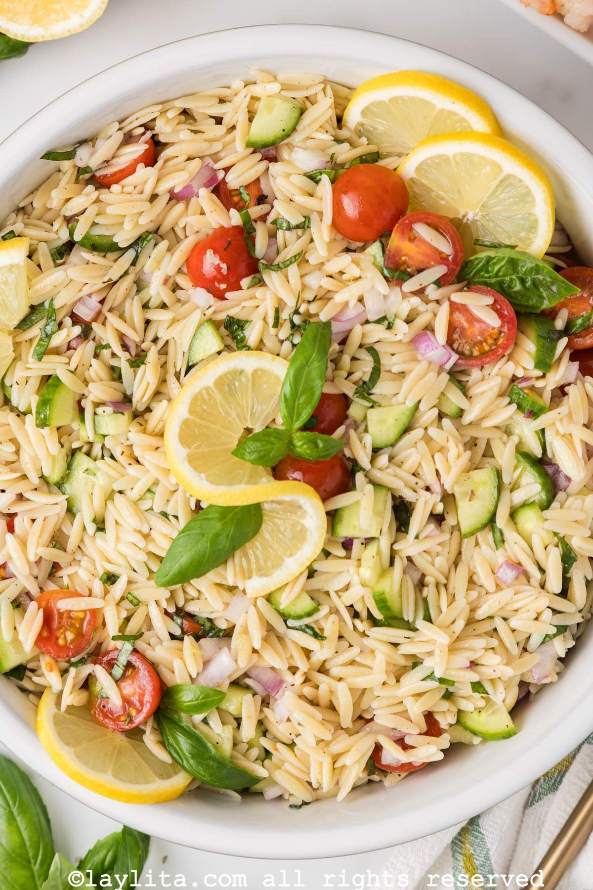 Closeup of orzo pasta salad with cucumber, red onion and tomatoes, garnished with lemon slices and basil leaves