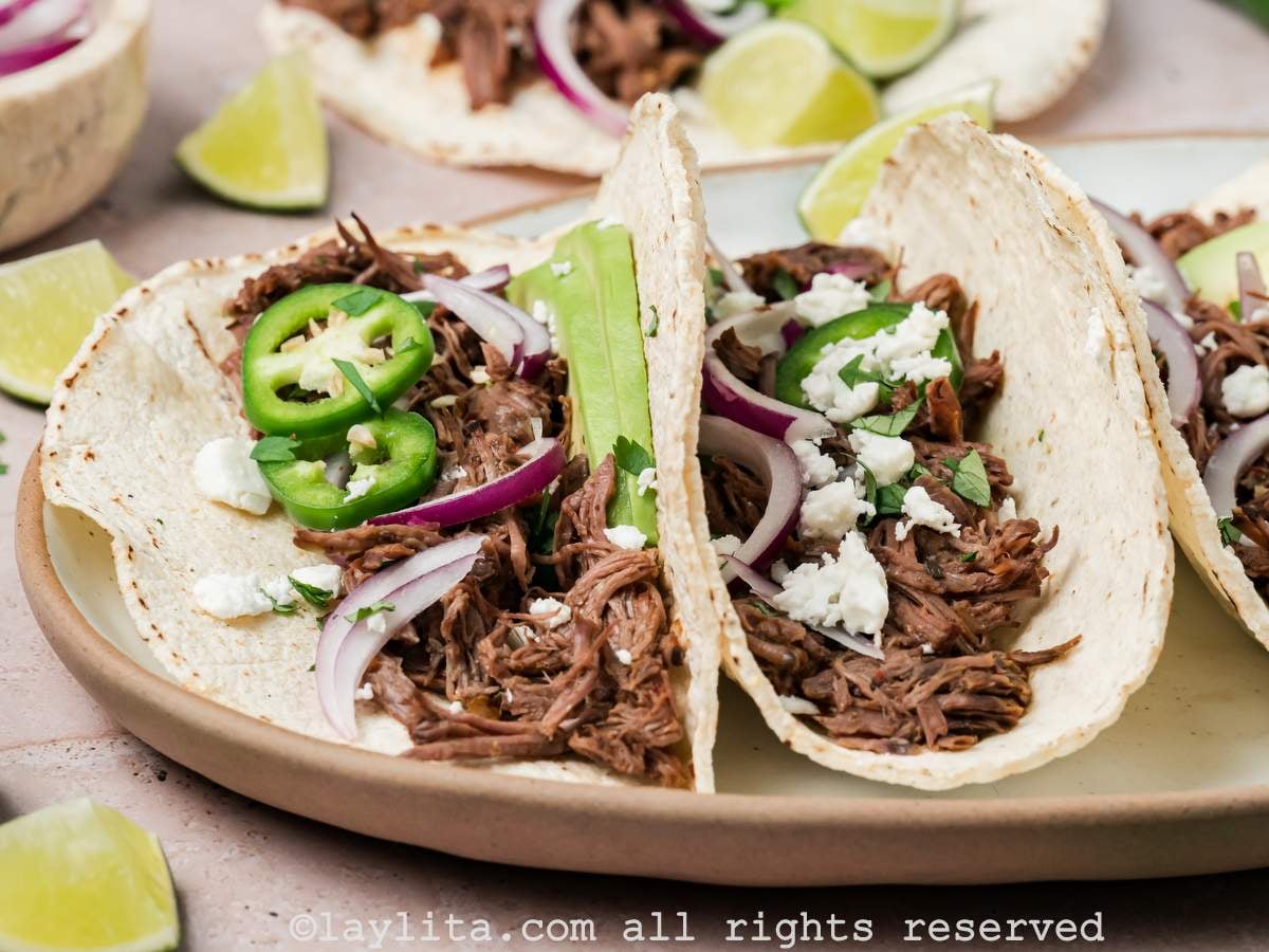 Side view of a barbacoa taco leaning on another taco, garnished with jalapeno and onions.