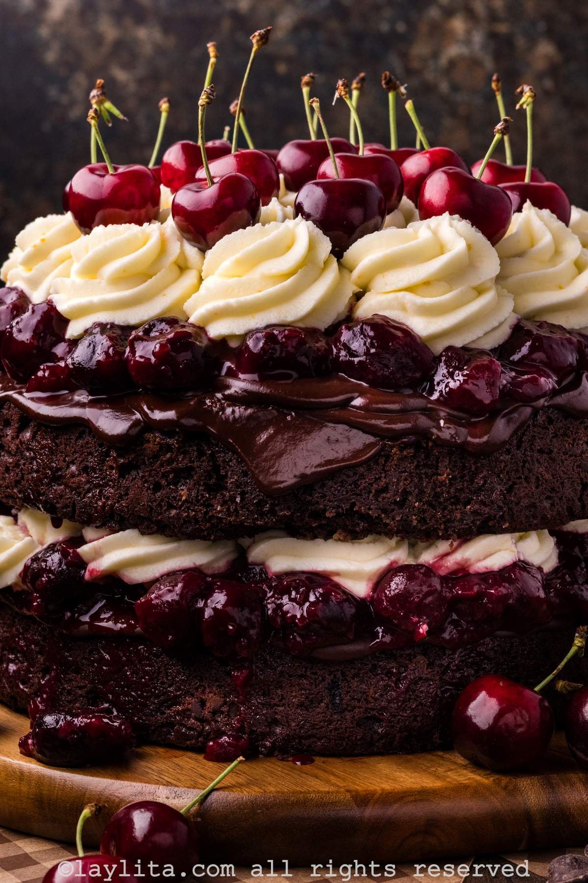 Closeup view of a layered chocolate cherry cake decorate with fresh cherries