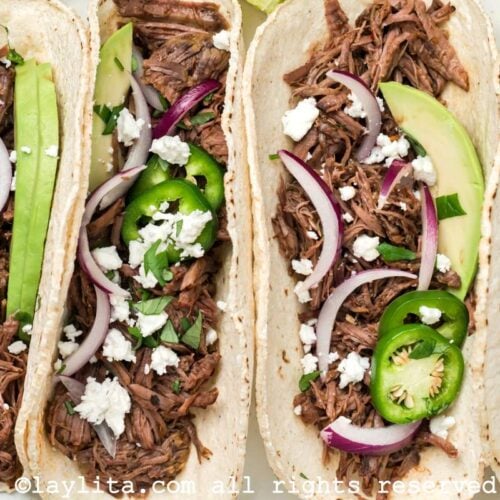 Closeup shot of of four barbacoa tacos garnished with red onions, avocado slices and jalapenos