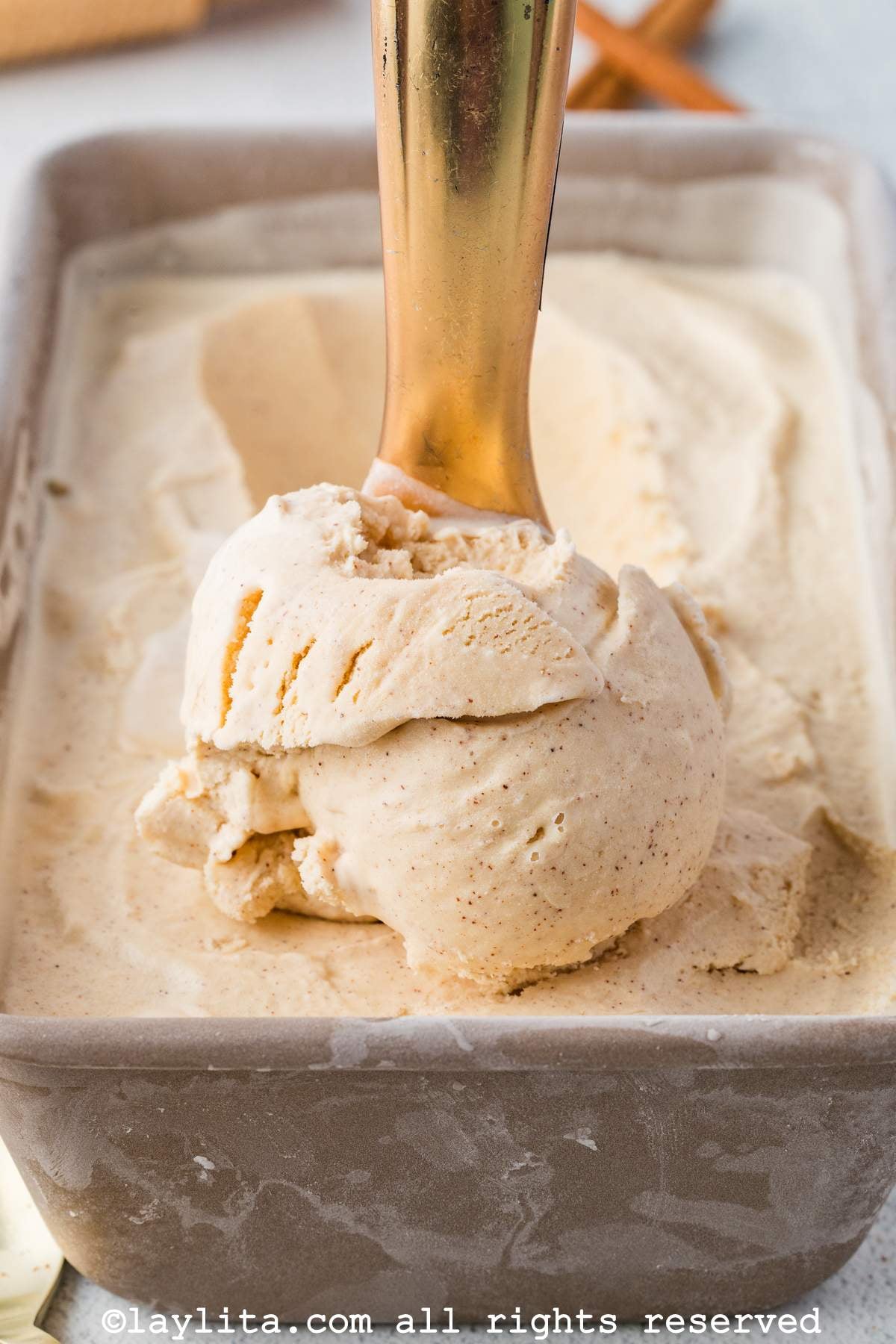 Side view of scooping some cinnamon ice cream from a loaf pan.