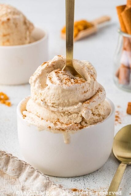 A bowl with cinnamon ice cream topped with ground cinnamon and a spoon in the bowl