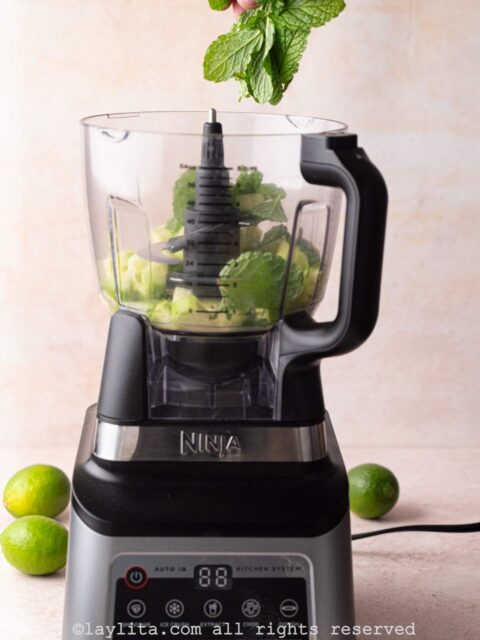 Mint leaves being added to a blender