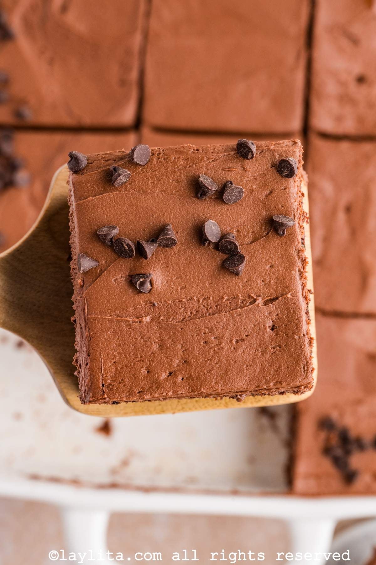 Chocolate Zucchini Cake (Easy Recipe)