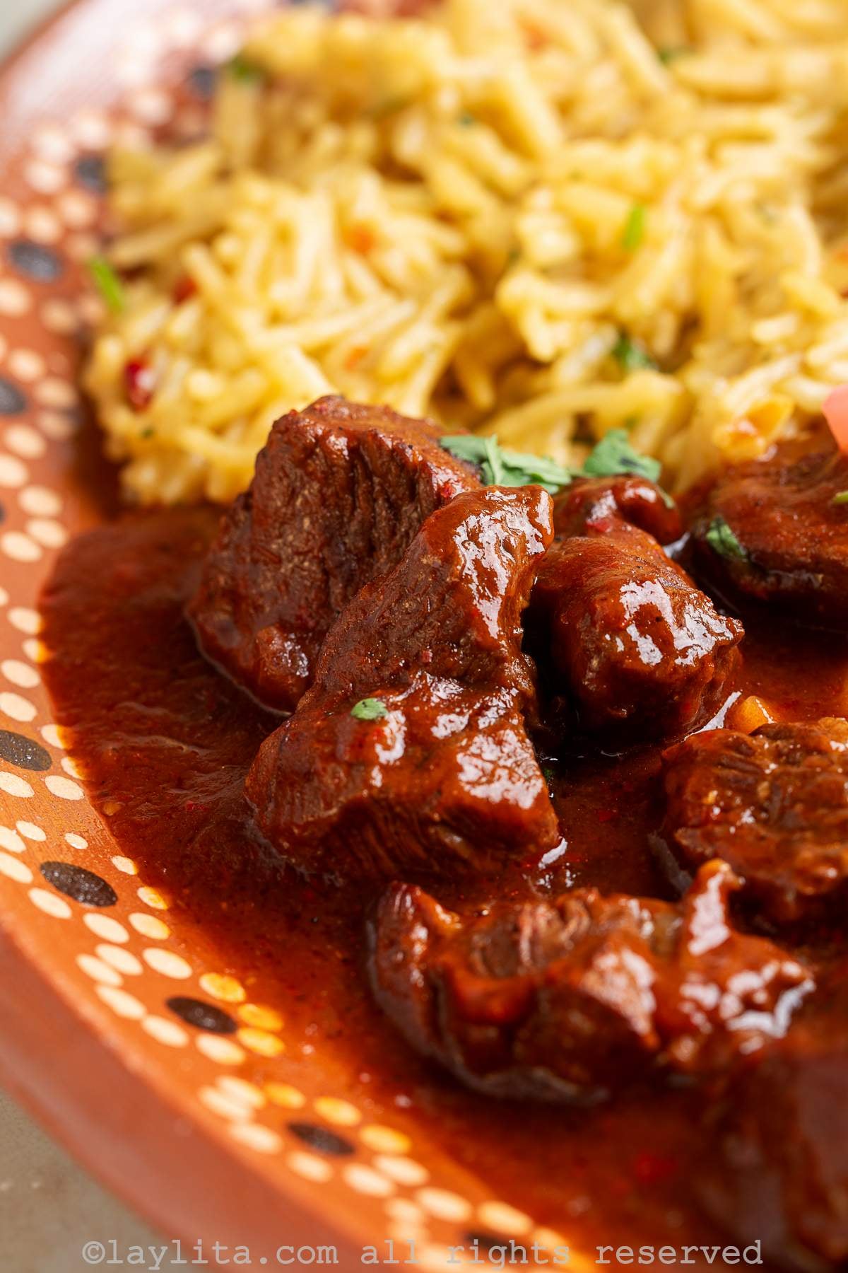 Close up of beef in red chile sauce or Chile Colorado, with rice on the side