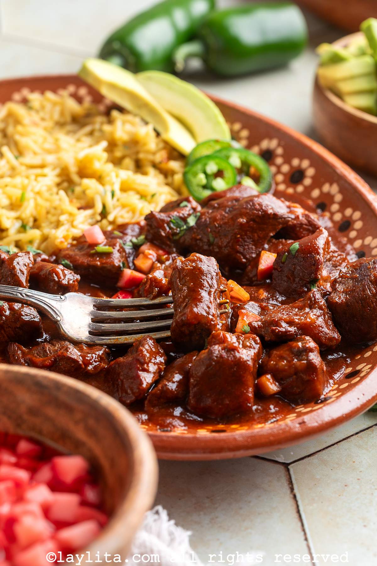 Side view of a plate with Mexican rice and Beef Chile Colorado stew, with a fork holding a piece of meat