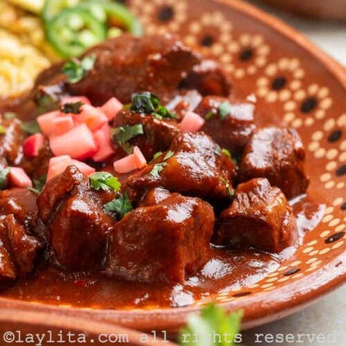 Beef Chile Colorado stew with rice and jalapeño slices on a terracotta plater with a floral design on the platter borders