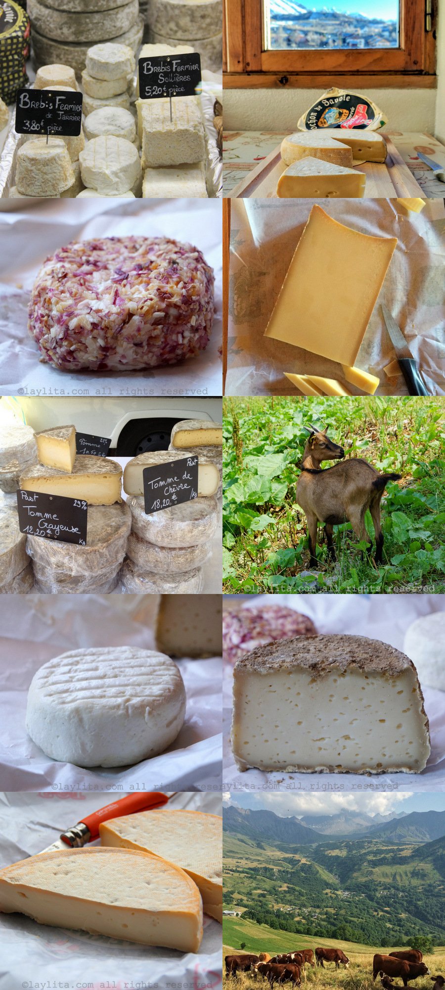 Cheeses you must try in the French Alps